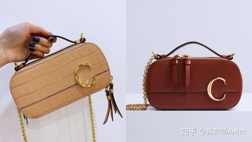 lv celine dior...2020早春 春夏精品新包搶先帶你一探究竟